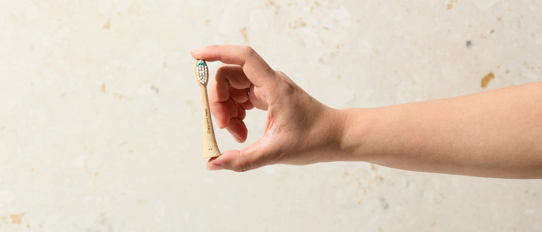 When to Replace Your Electric Toothbrush Head