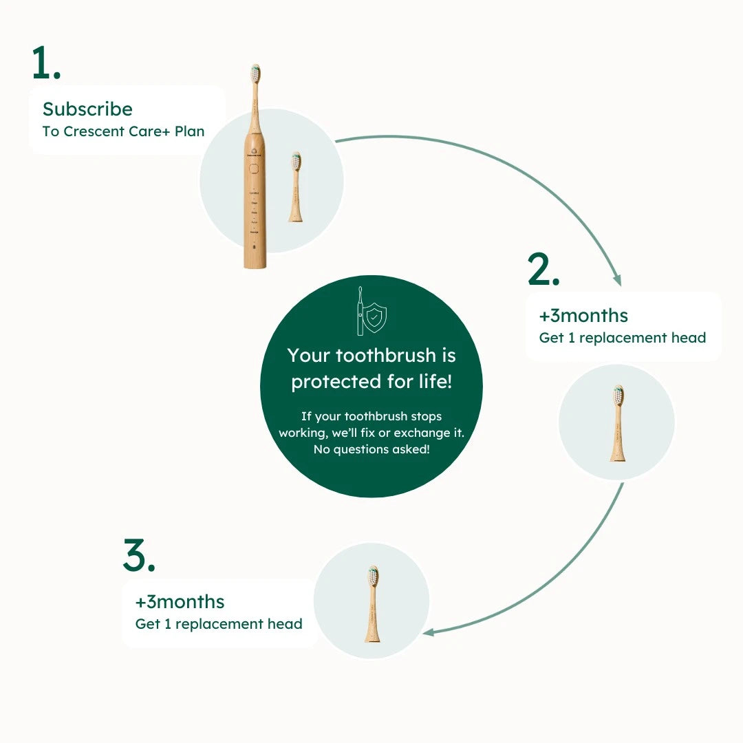 Diagram of a toothbrush subscription plan with toothbrushes and replacement heads on a white background.