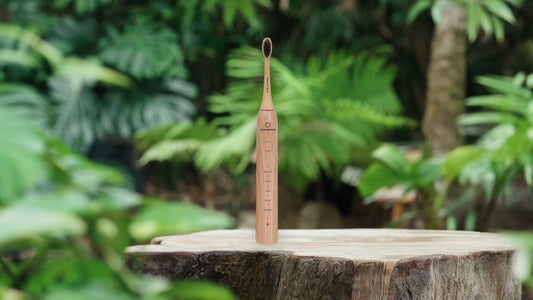 Why Bamboo Toothbrushes Are Better for You and Earth