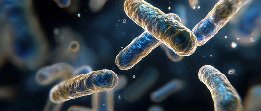 Oral Microbiome