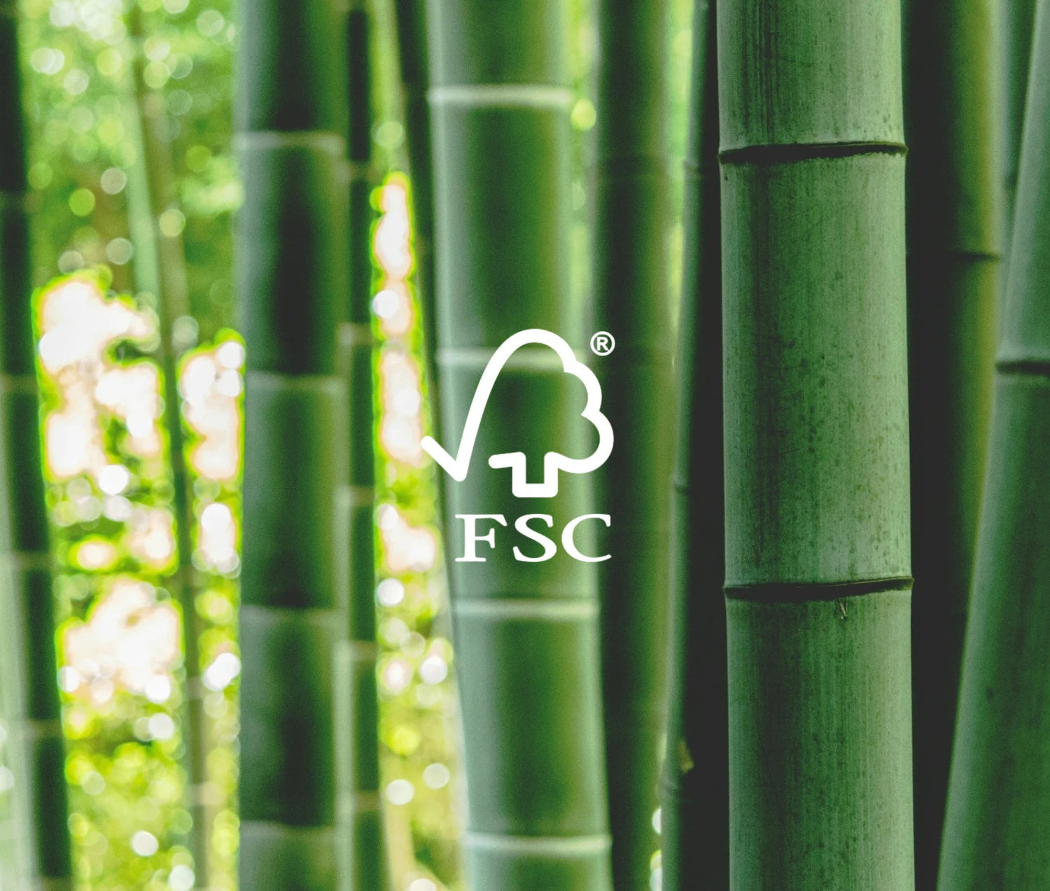 Bamboo with FSC logo overlay