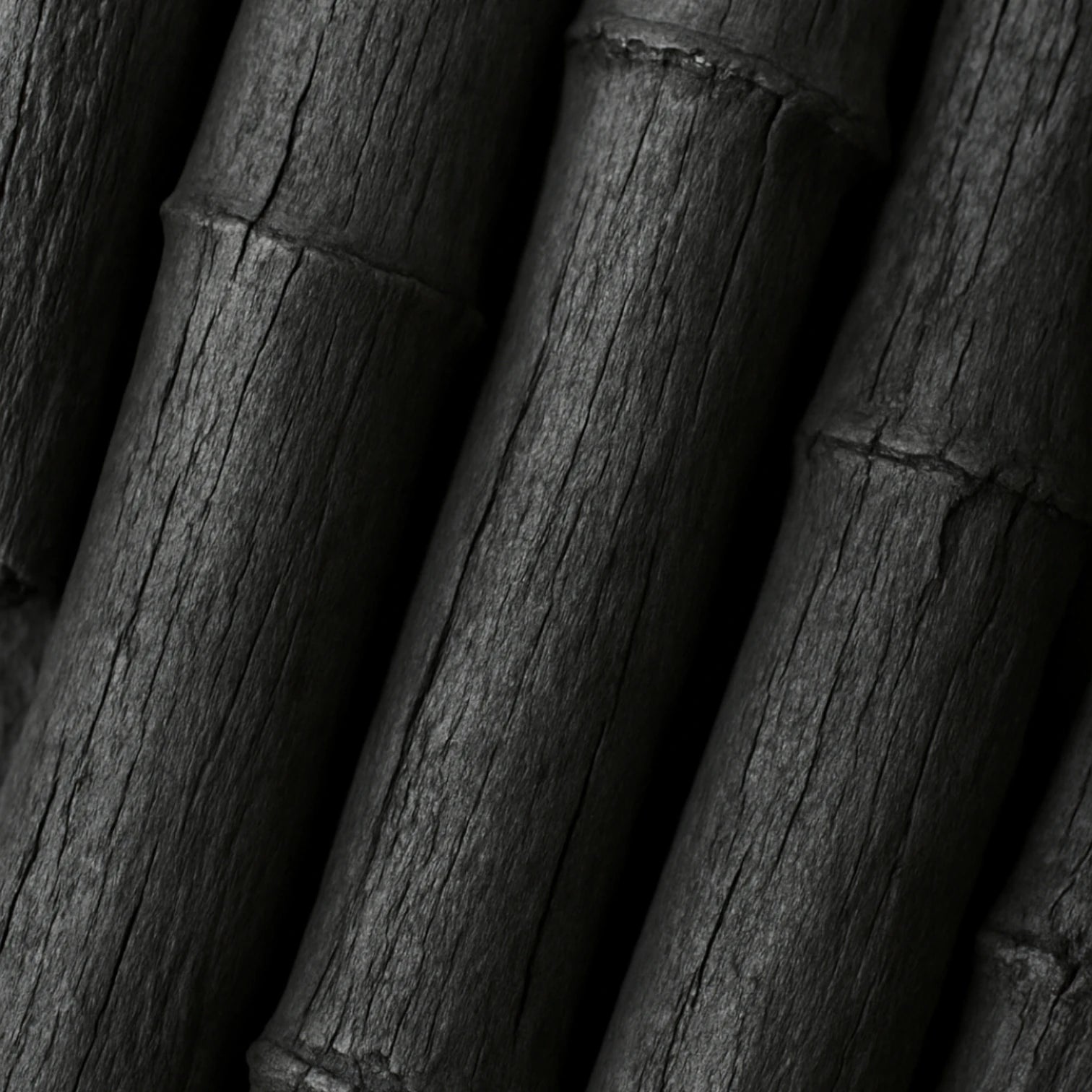 Macro close-up image of natural bamboo charcoal sticks showing textured dark charcoal surface and bamboo structure.