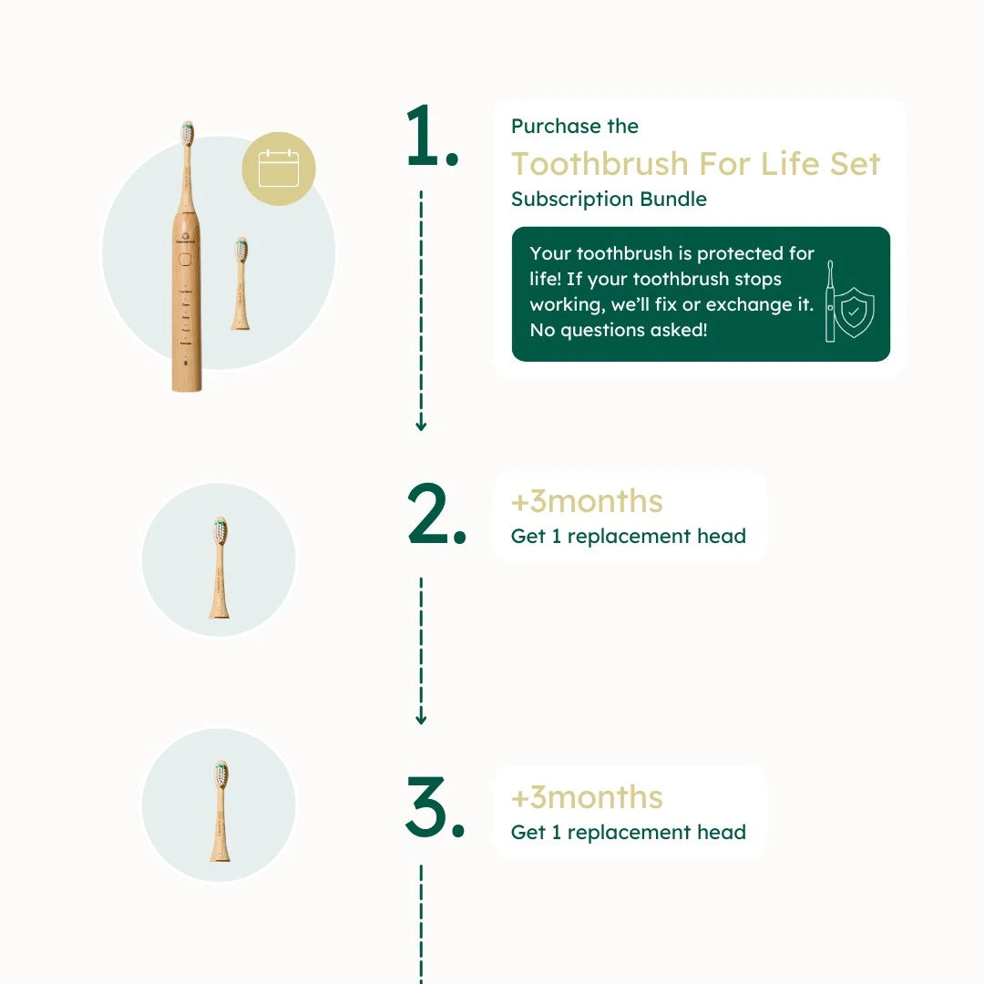 Diagram of a toothbrush for life set subscription bundle with toothbrushes and replacement heads.