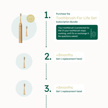 Diagram of a toothbrush for life set subscription bundle with toothbrushes and replacement heads.