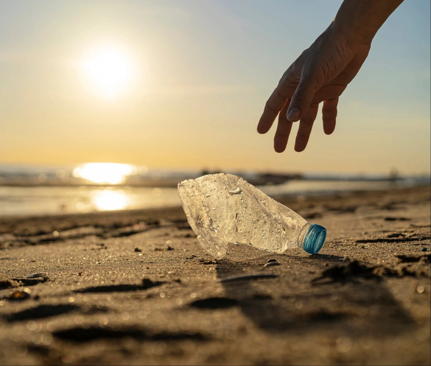 Crescent Nest to offer eco-friendly alternatives to reduce toothbrush plastic waste.